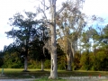 CAM02650 copy